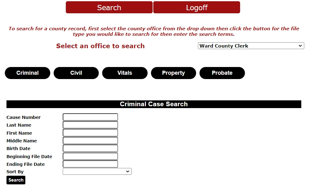 A screenshot of the criminal case search requires the input of case number, full name of the subject, birth date, and file date range to conduct a search.